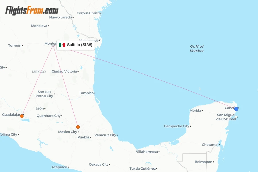 Saltillo flight map