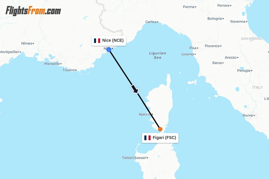 Flights from Nice to Figari route map